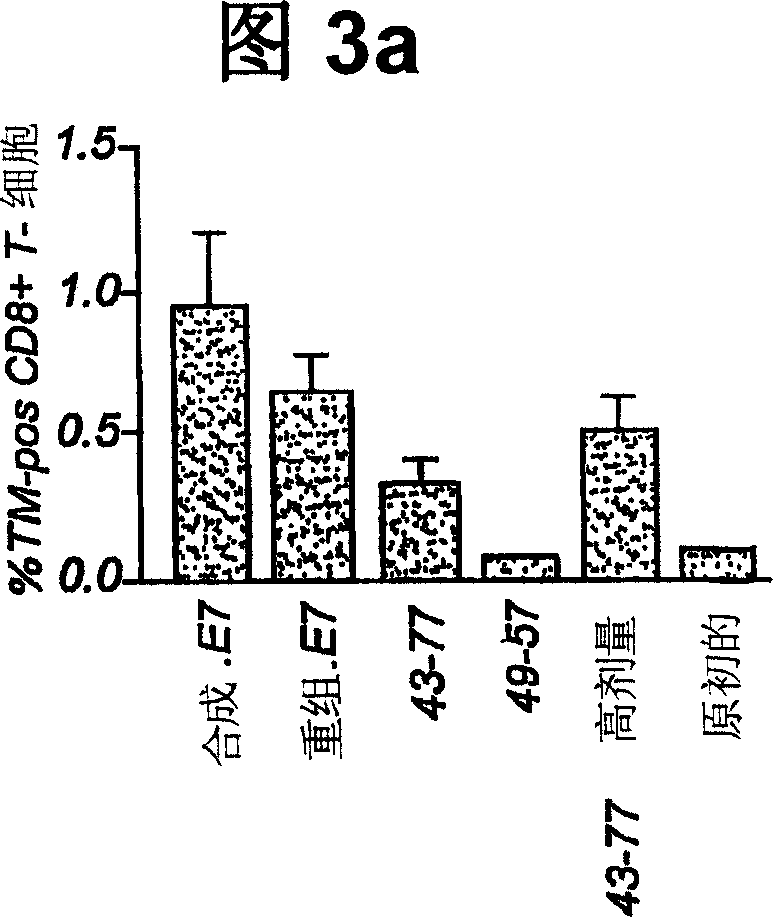 Synthetic protein as tumor-specific vaccine