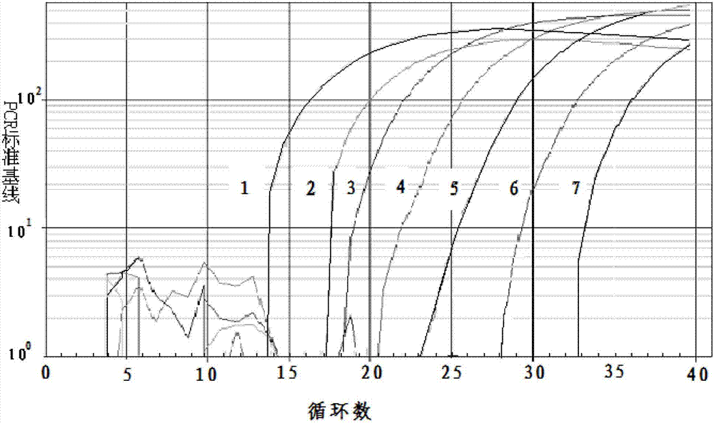 Real-time fluorescent quantitative PCR (polymerase chain reaction) detection kit for shrimp white spot syndrome virus