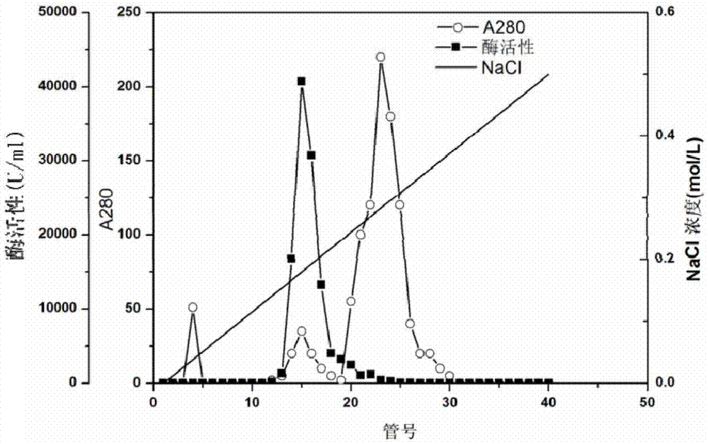 Alginate lyase and preparation method and application thereof