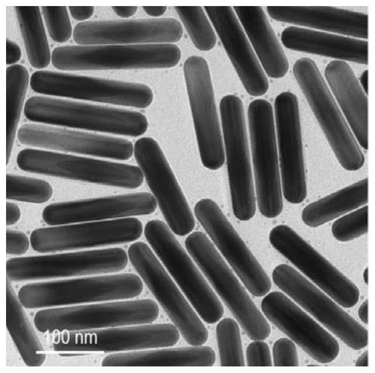 Control method for gold atom deposition on silver nanostructure