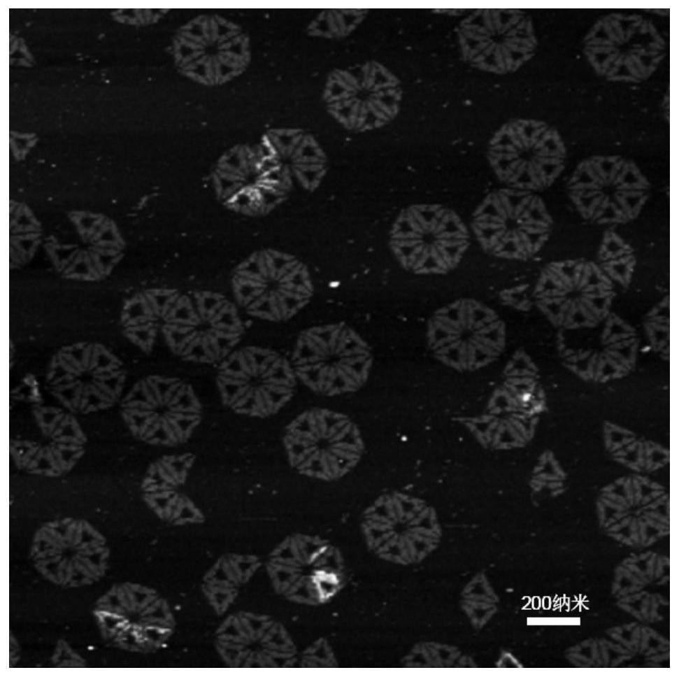 A nucleic acid nanostructure and its preparation method and application