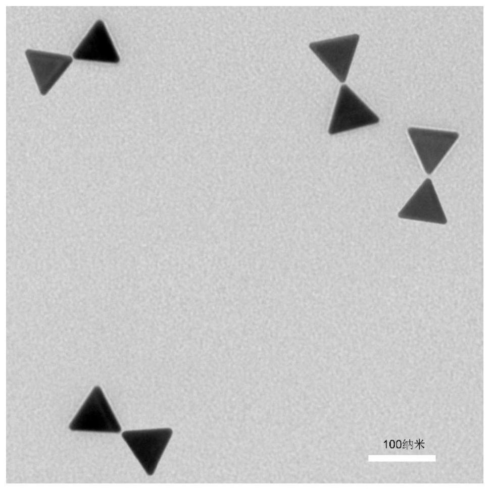 A nucleic acid nanostructure and its preparation method and application