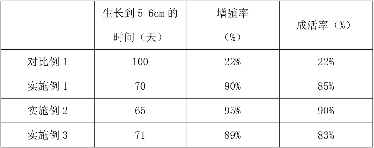 Subculture medium for Pleione bulbocodioides and preparation method thereof