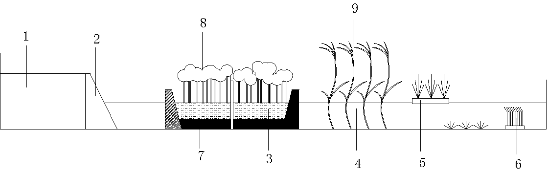 Multi-stage water quality eco-purification system suitable for shallow narrow mixed water river channel