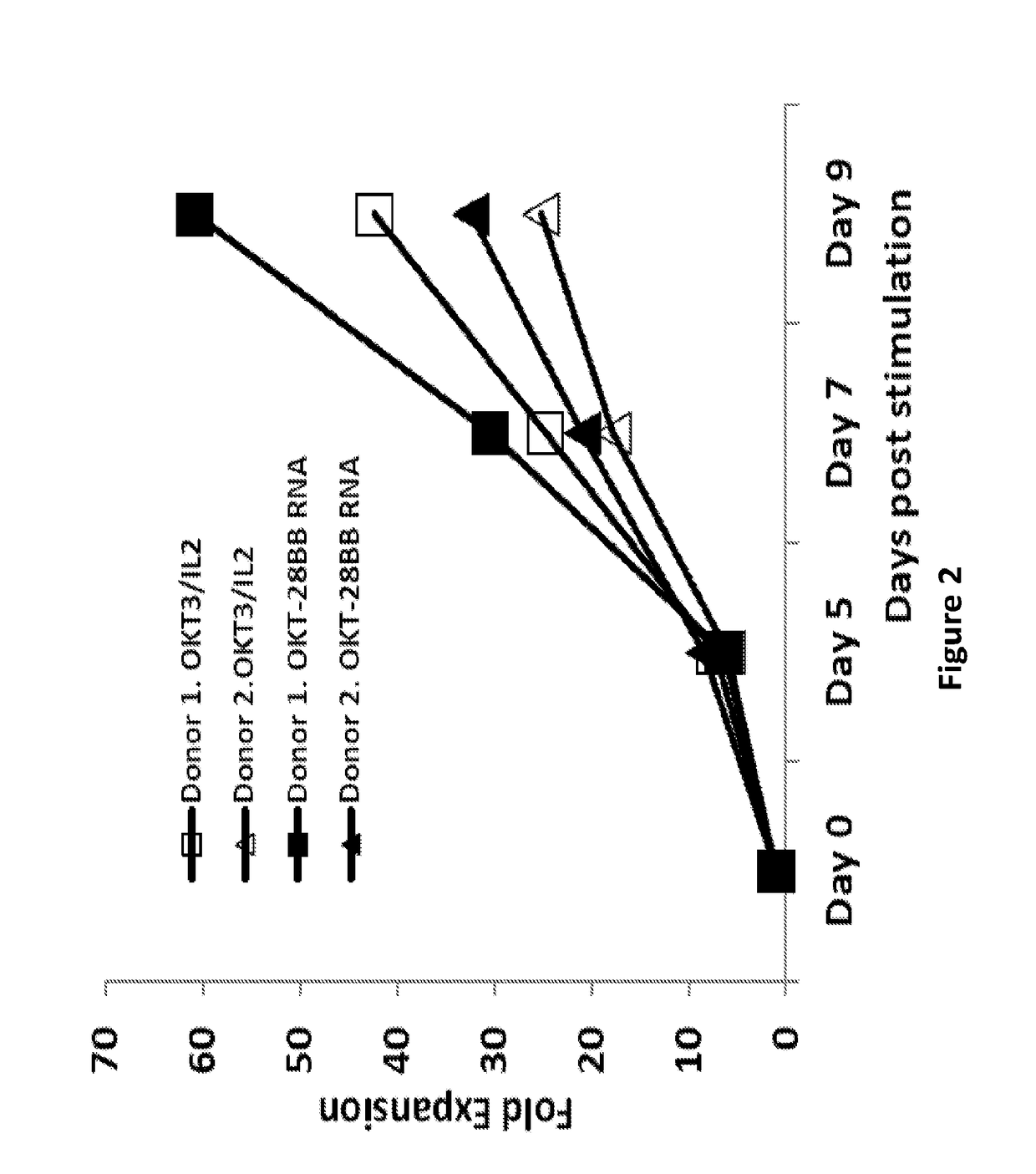 Compositions and methods of stimulating and expanding t cells