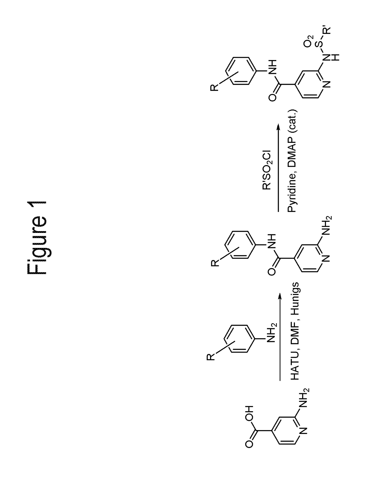 Pyridyl reverse sulfonamides for HBV treatment