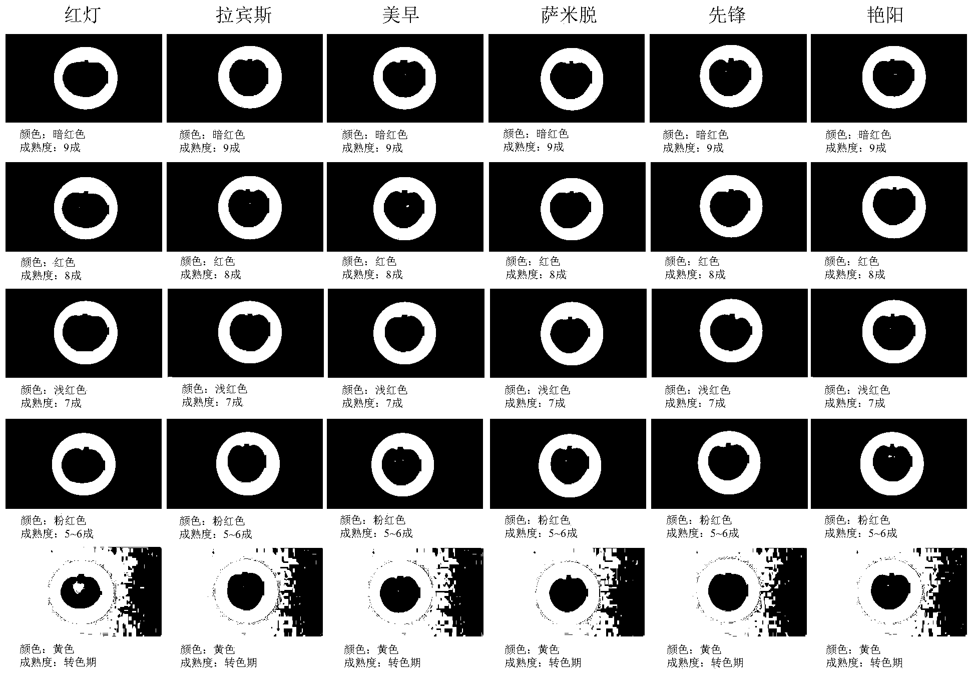 Method for judging maturity degree of cherries