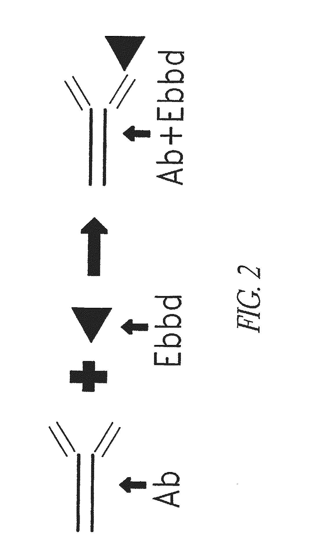 Method for making targeted therapeutic agents