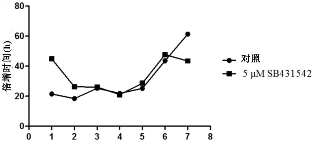 A method for inhibiting epithelial-mesenchymal transition of human amniotic membrane epithelial cells