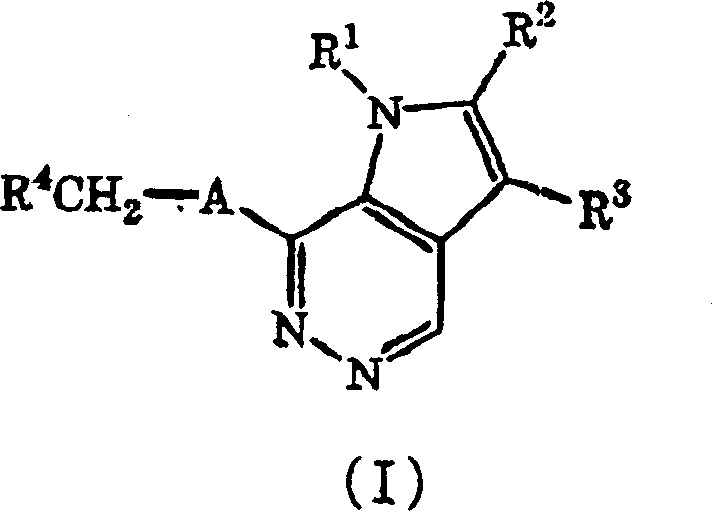 Pyrrolopyridazine compound