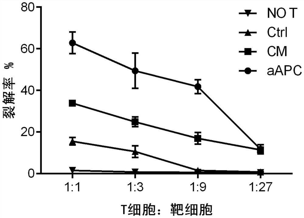 A kind of phospholipid microbead as artificial antigen presenting cell and its preparation method and application