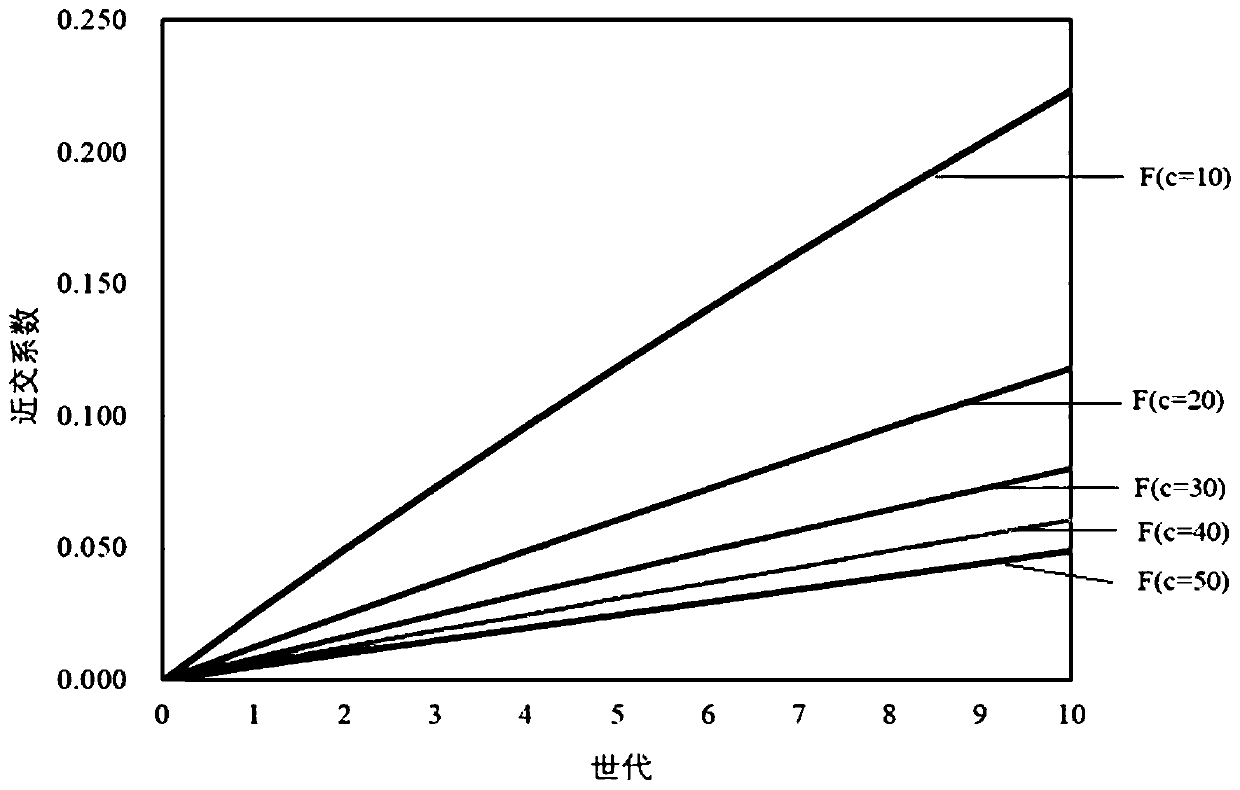 Method for predicting and avoiding inbreeding degree in conventional breeding of macrobrachium nipponense