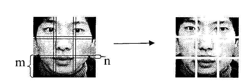 Affine transformation-based frontal face image super-resolution reconstruction method