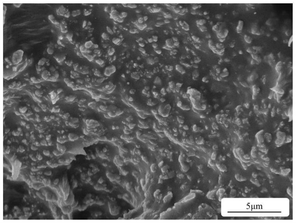 Barium strontium titanate/polyether-ether-ketone composite material with dielectric frequency stability and preparation method of barium strontium titanate/polyether-ether-ketone composite material