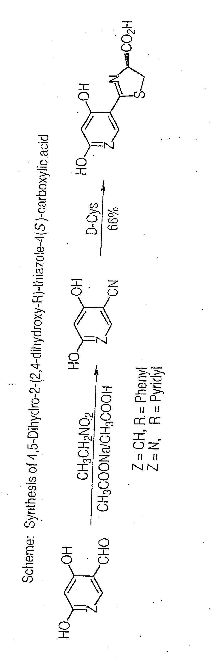 Thiazoline acid derivatives