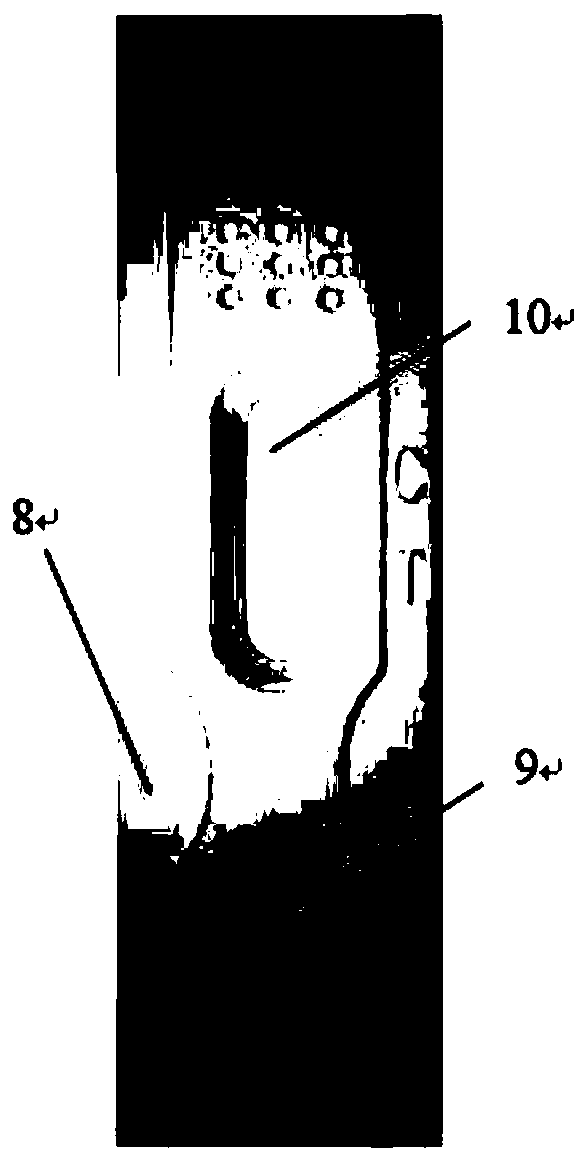 Colloidal gold test paper, preparation method thereof and rice seed vigor detecting method