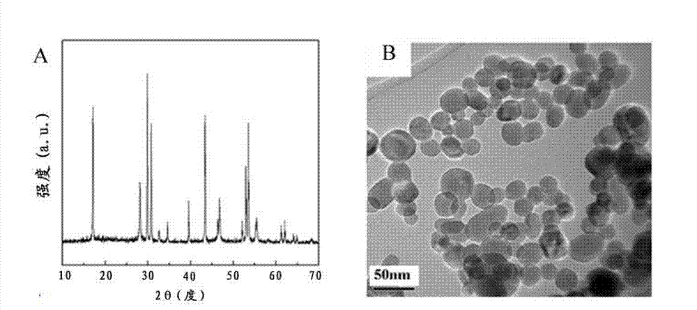 Preparation method of water-soluble upconversion fluorescent nano material