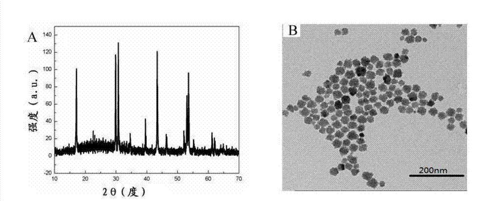 Preparation method of water-soluble upconversion fluorescent nano material