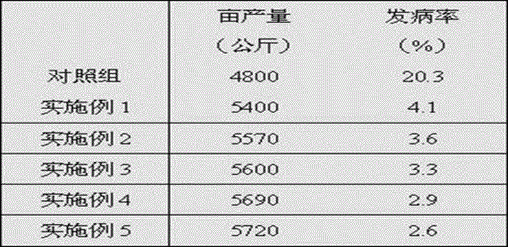 Organic fertilizer and preparation method thereof