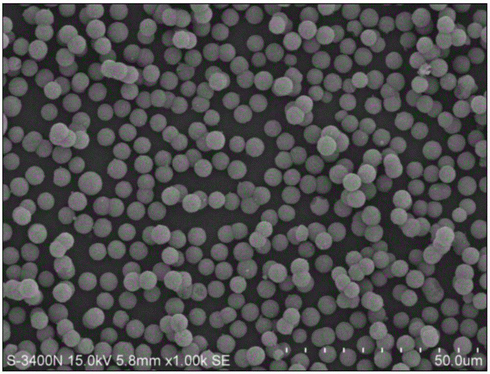 Monodisperse mesoporous silica microsphere powder and preparation method thereof