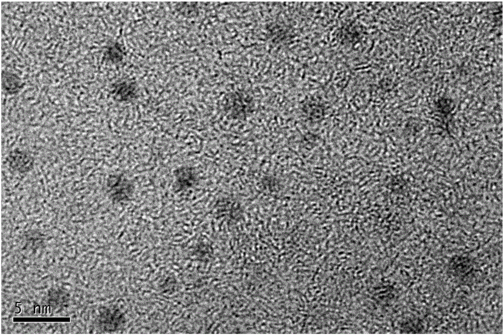 Nitrogen, phosphorus and sulphur doping or co-doping carbon dot and batch controllable preparing method and application thereof