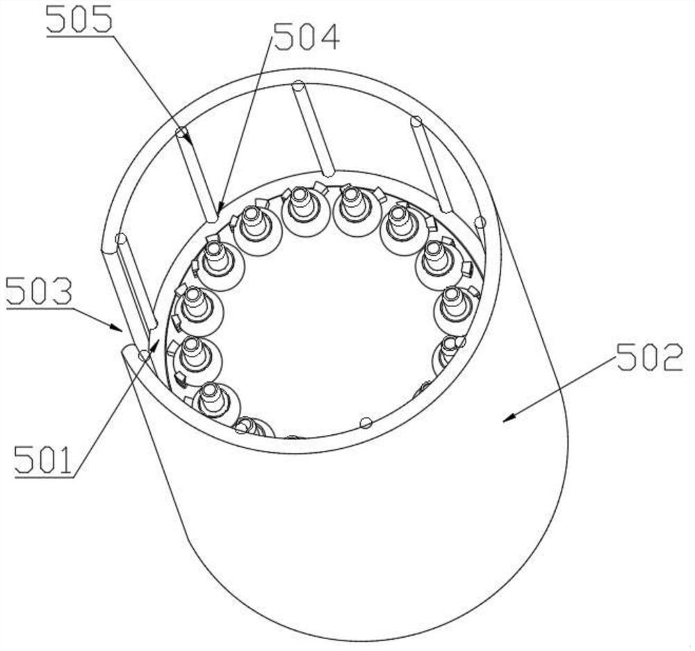 Supercritical carbon dioxide injection device