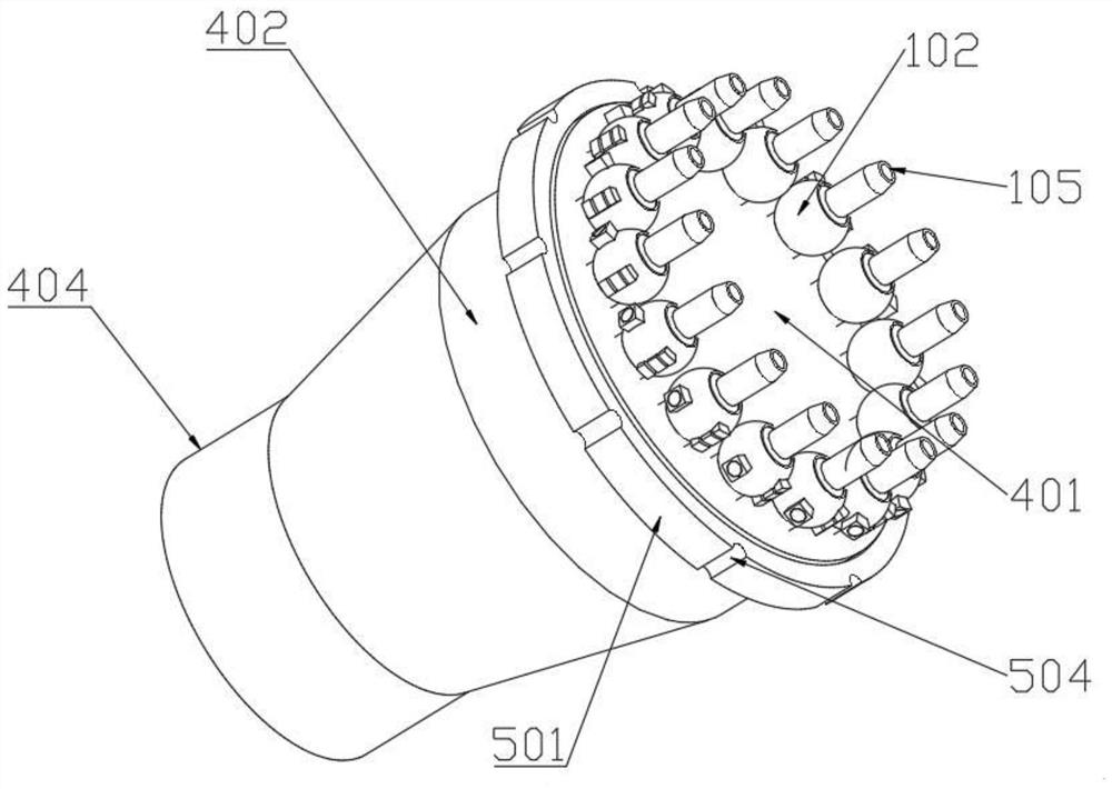 Supercritical carbon dioxide injection device