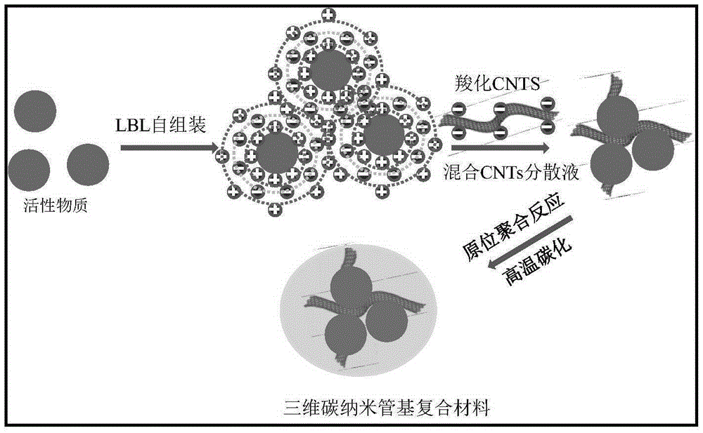 High-performance three-dimensional carbon nanotube composite negative electrode material, preparation method therefor and application thereof