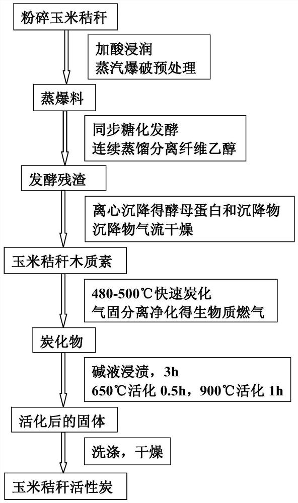 Method for preparing biomass gas, activated carbon and products thereof