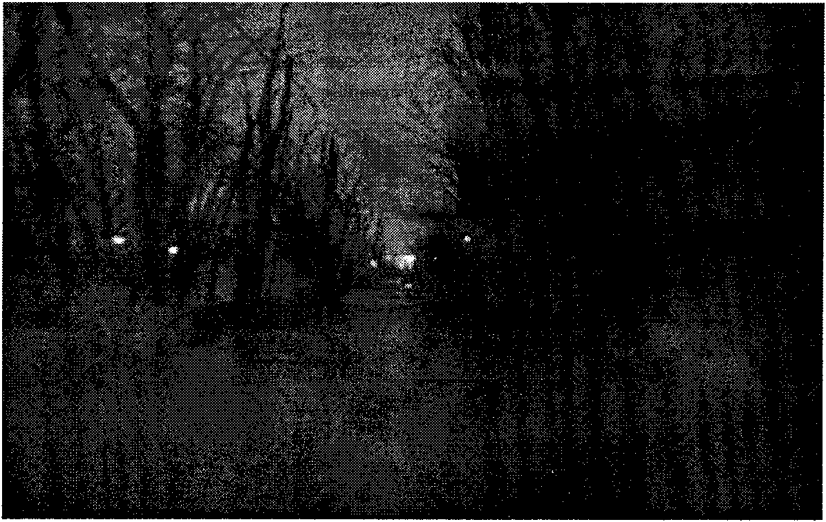 Self-adaptive enhancement algorithm of weighted histogram of infrared image