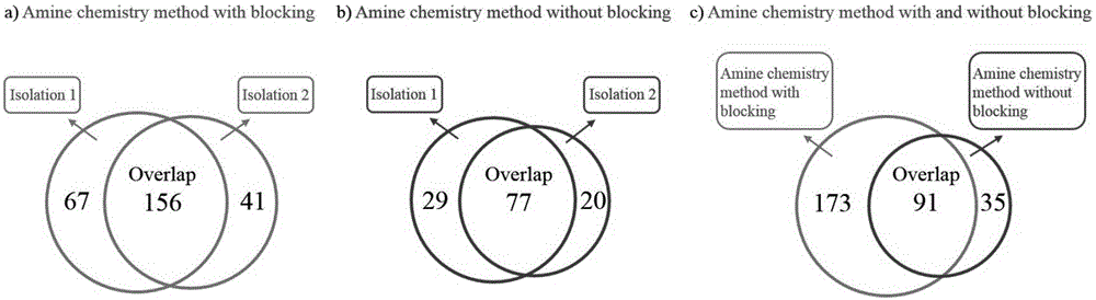 Method for selective enrichment and identification of N-linked glycopeptide