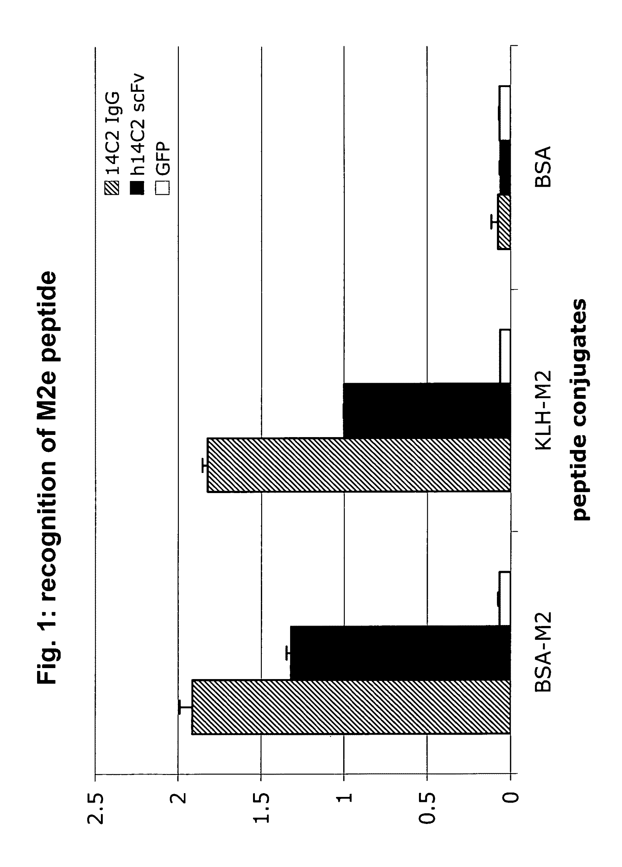 Anti-influenza M2e antibody