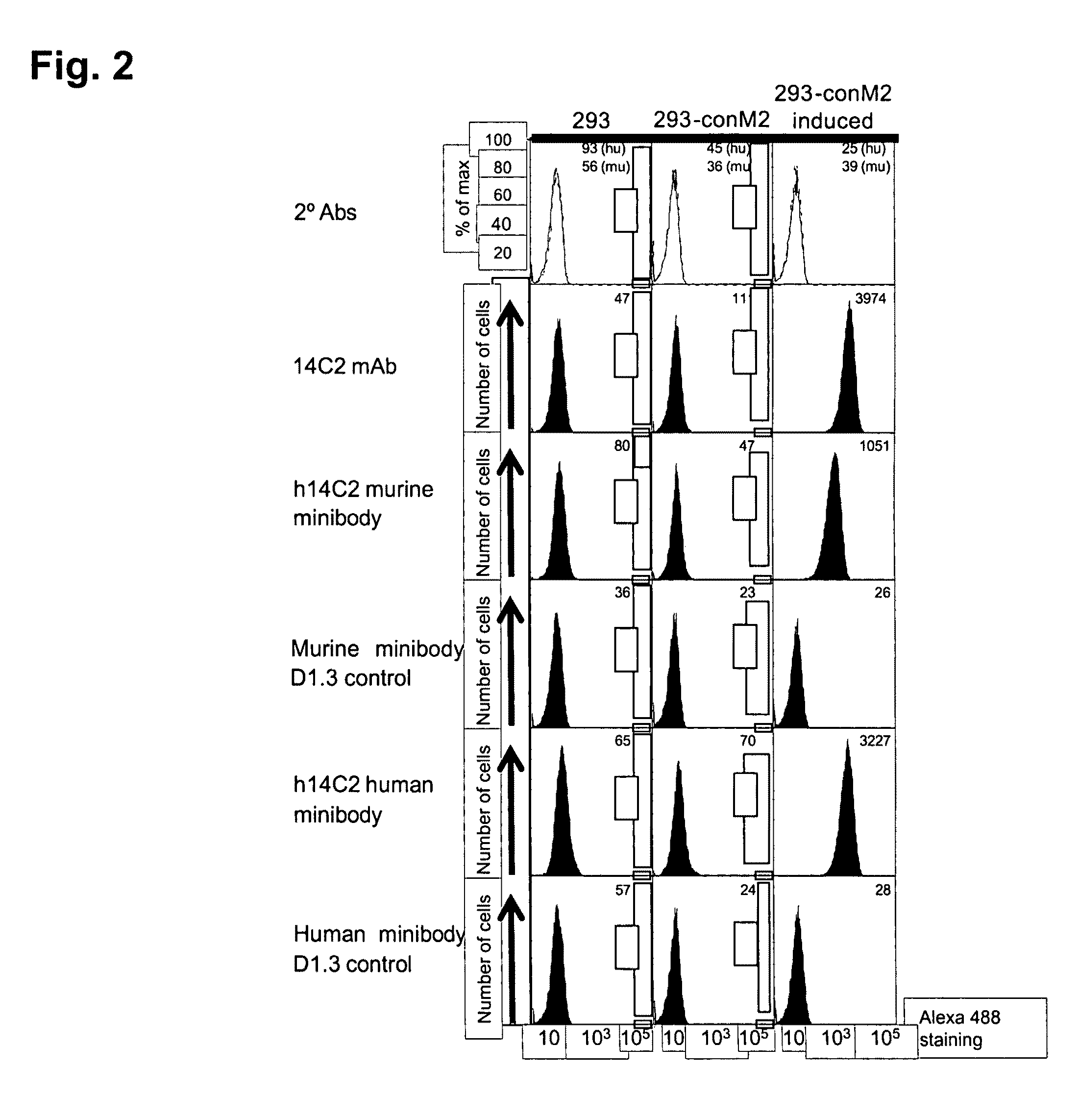 Anti-influenza M2e antibody