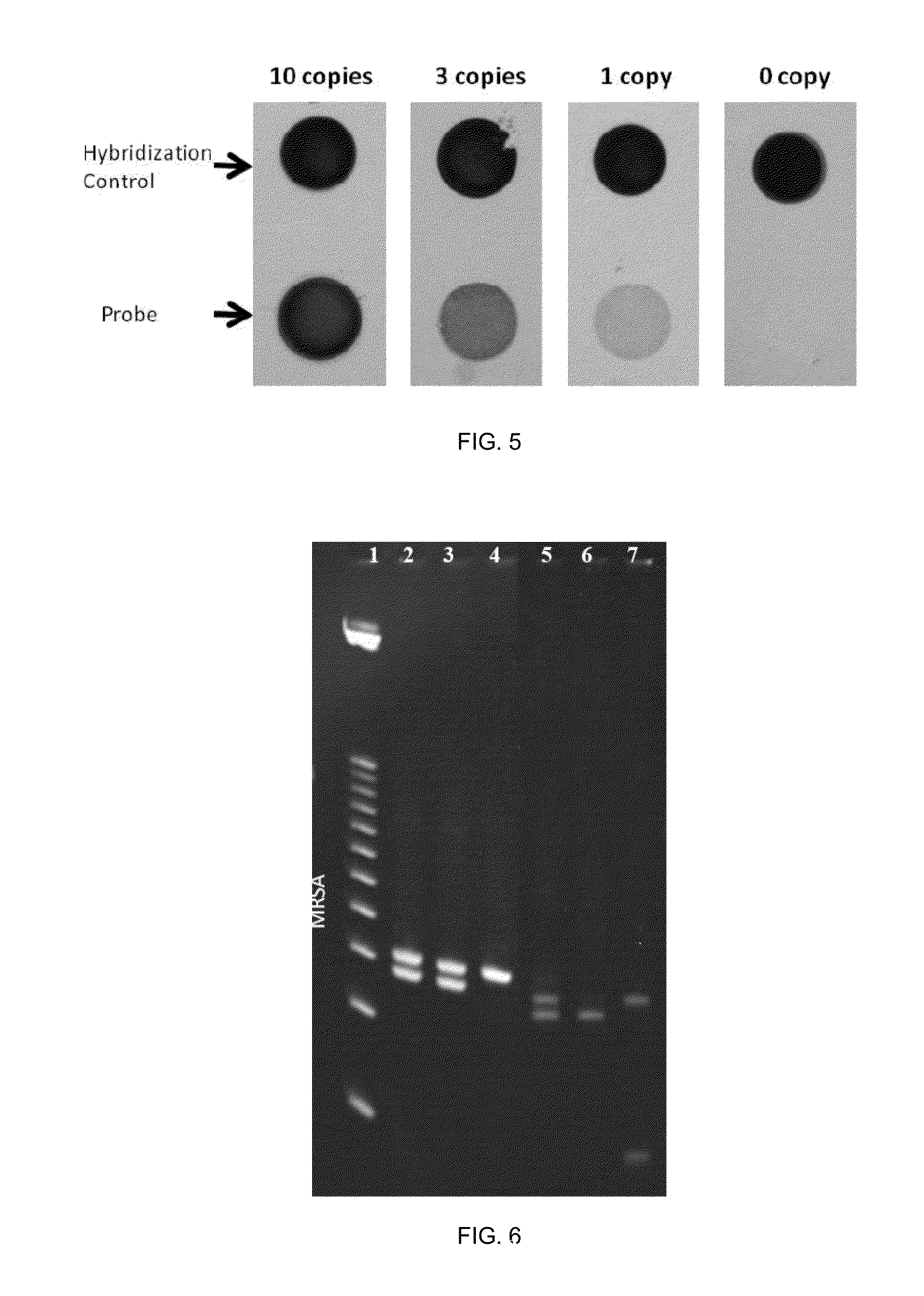 Methods of isothermal amplification using blocked primers