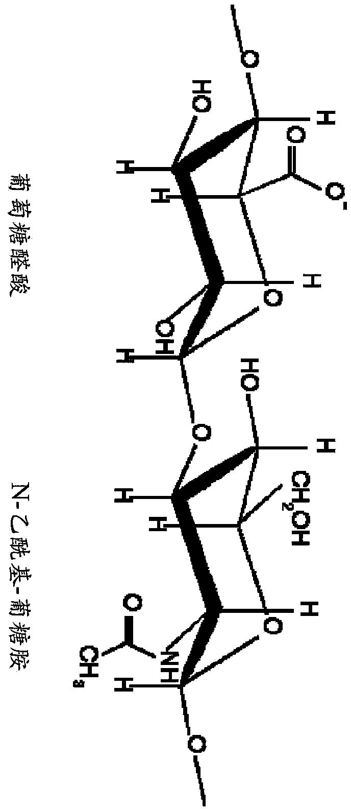 Preparation and/or formulation of proteins cross-linked with polysaccharides