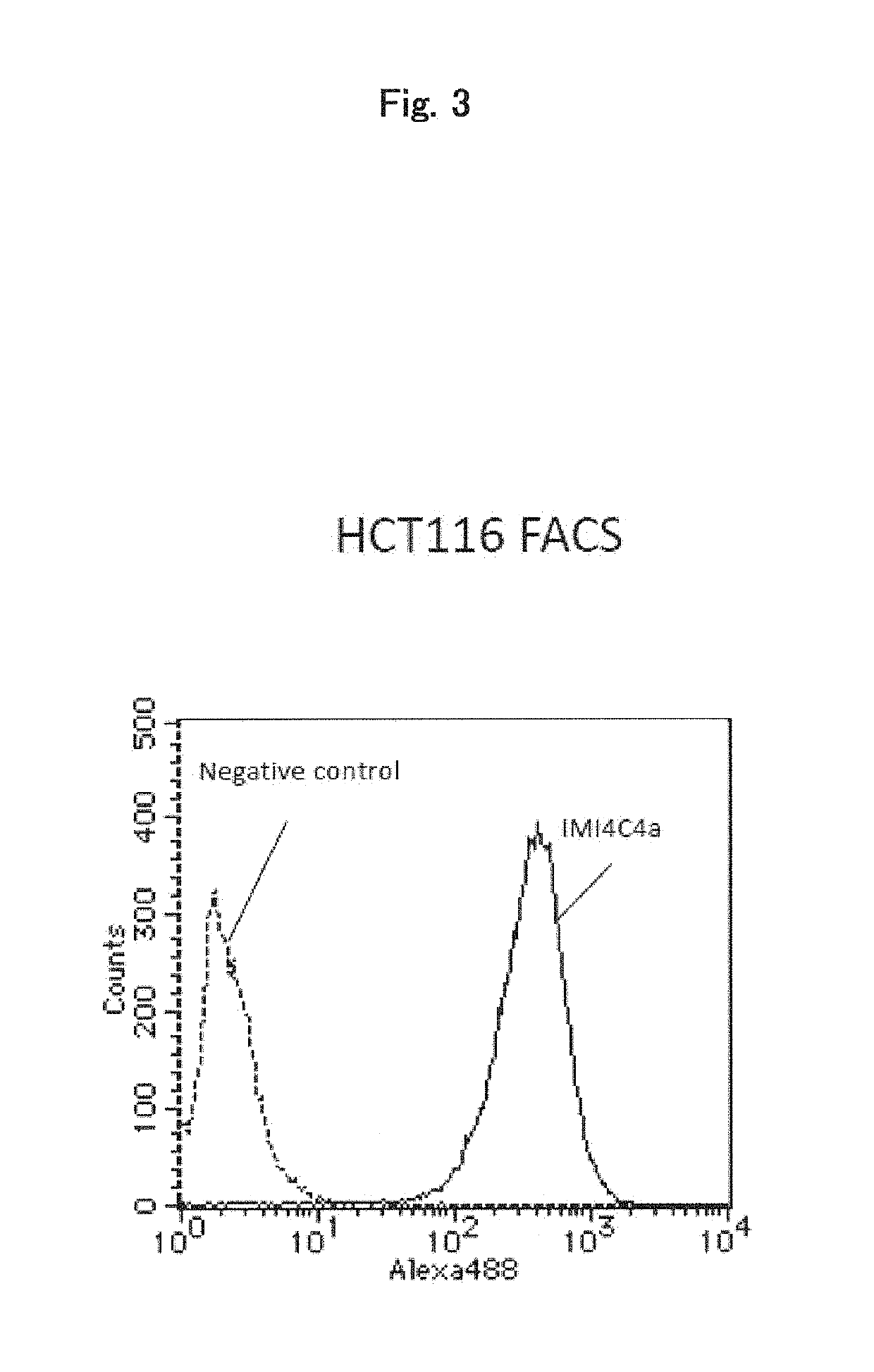 Cancer treatment pharmaceutical composition using Anti-mct5 antibody