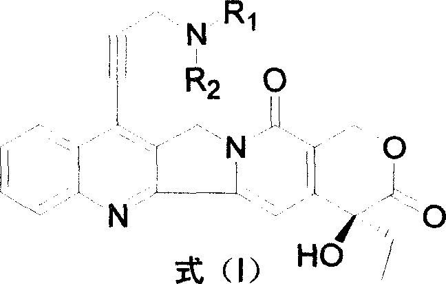 Water-soluble camptothecine derivative and its preparation process and application thereof