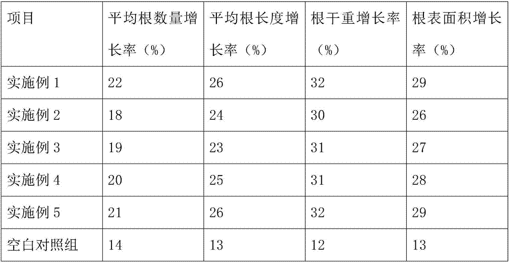 Fruit stem rooting agent and preparation method thereof