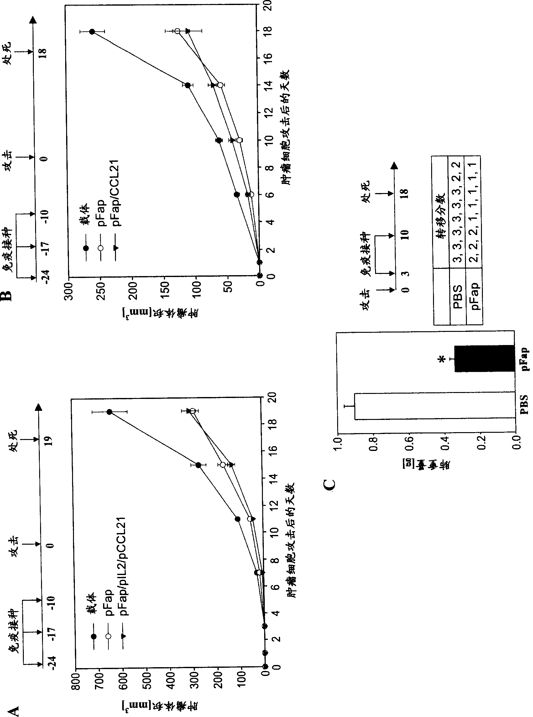 DNA composition against tumor stromal antigen FAP and methods of use thereof