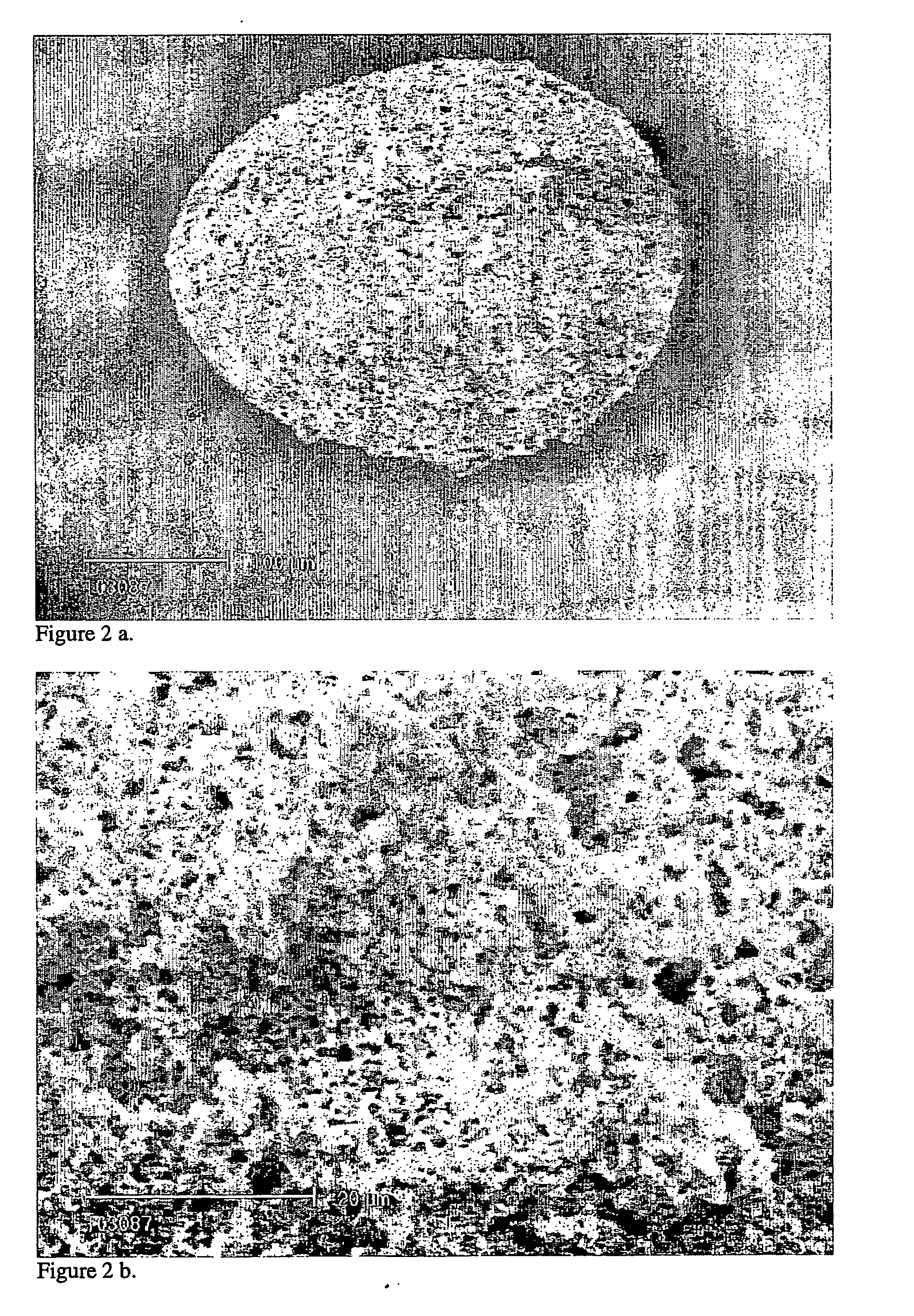 Method of producing hierarchical porous beads