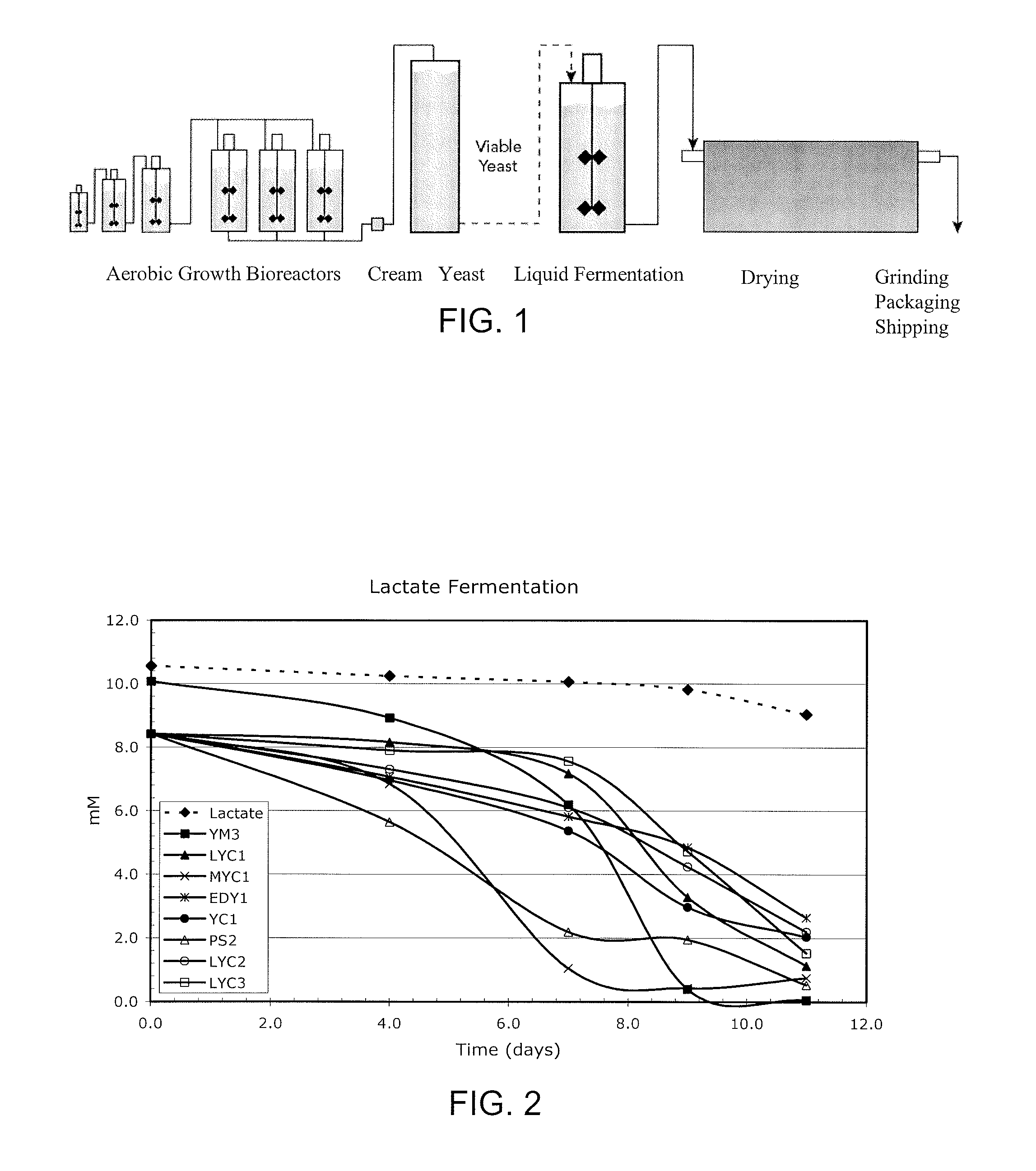 New Bioremediation Enhancing Agents And Methods Of Use