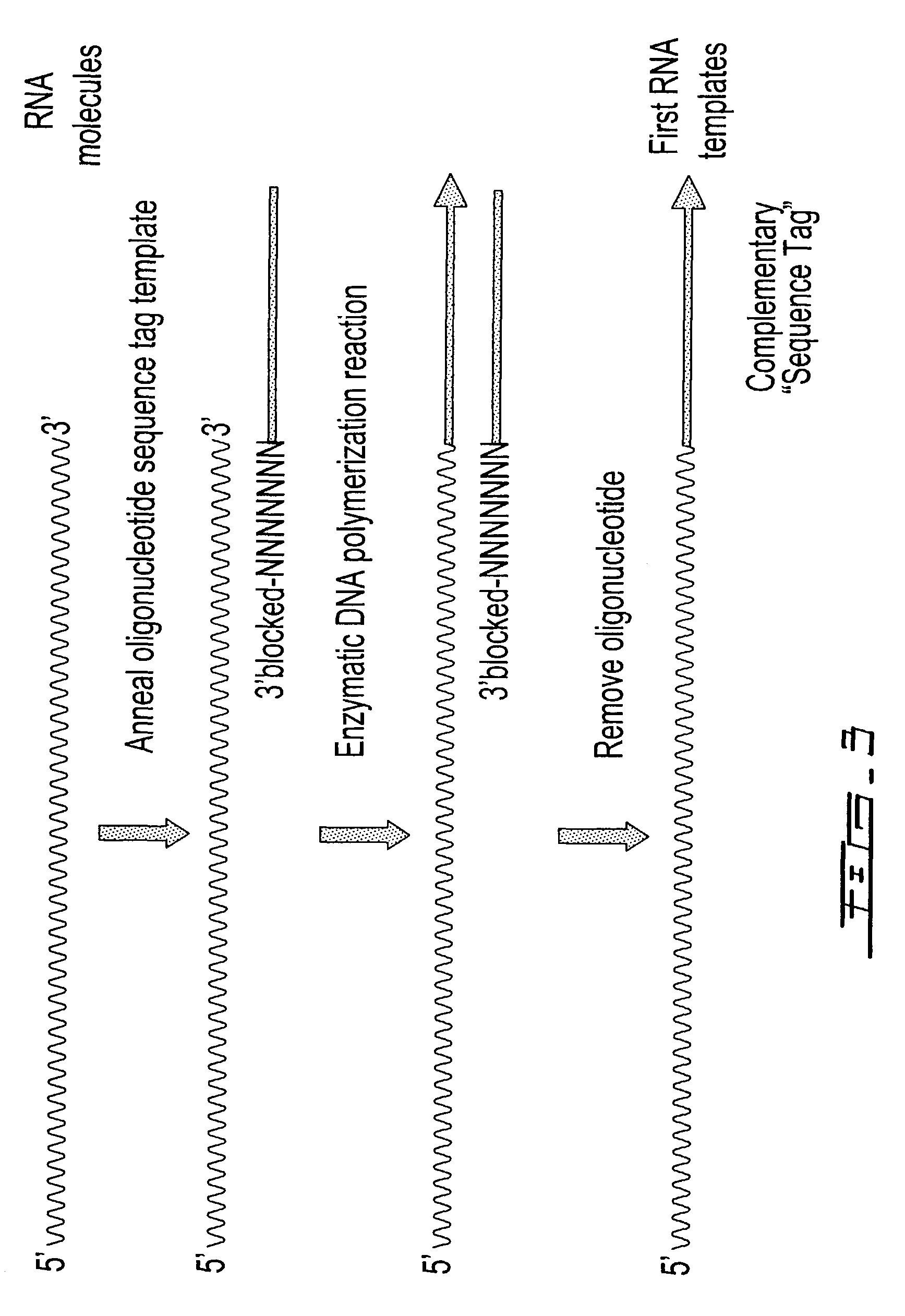 Selective terminal tagging of nucleic acids