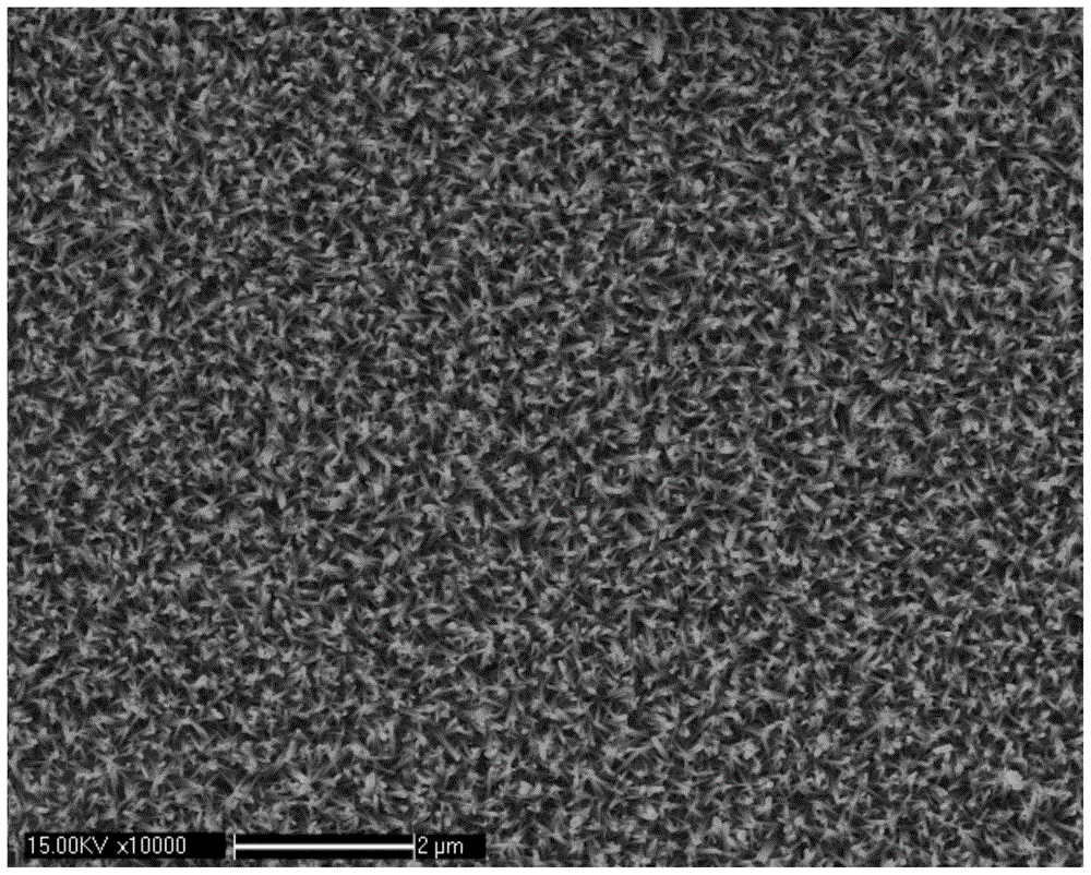 A SERS substrate material and its hot spot excitation method and characterization