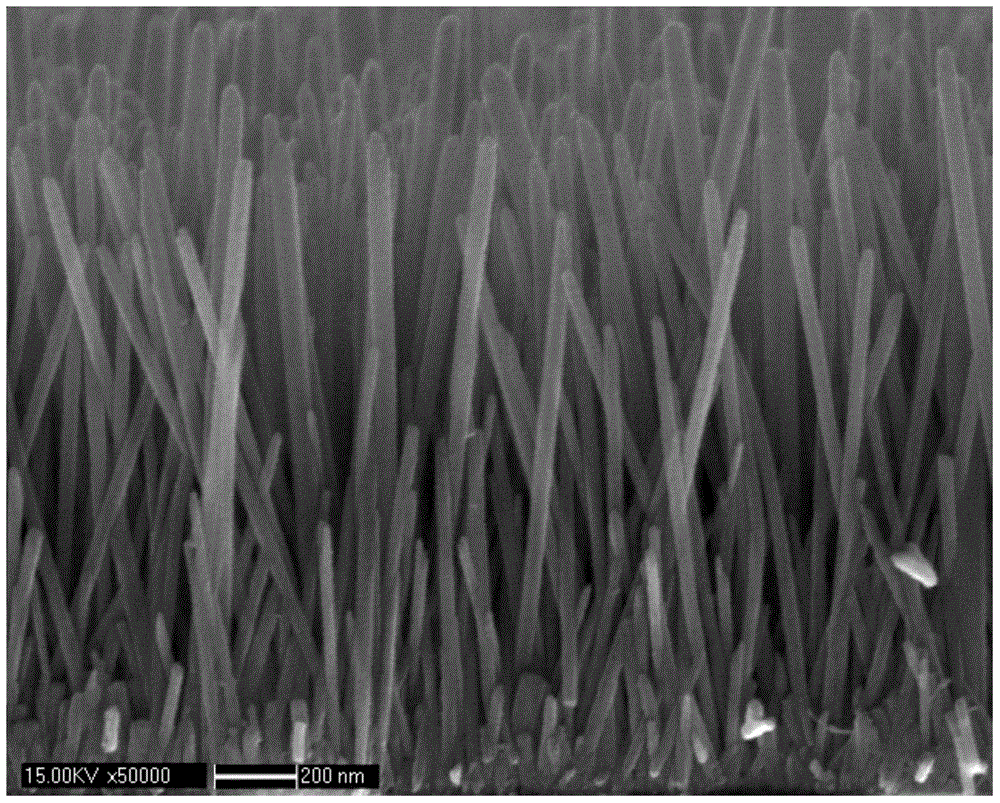 A SERS substrate material and its hot spot excitation method and characterization