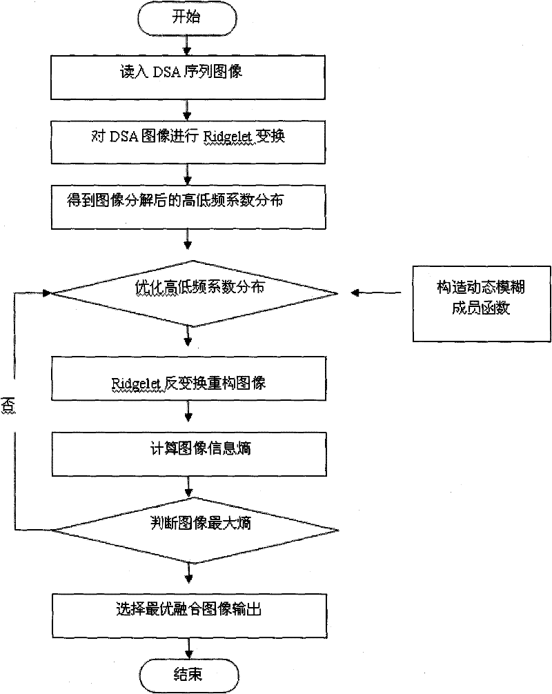 Medical digital subtraction image fusion method based on ridgelet transform