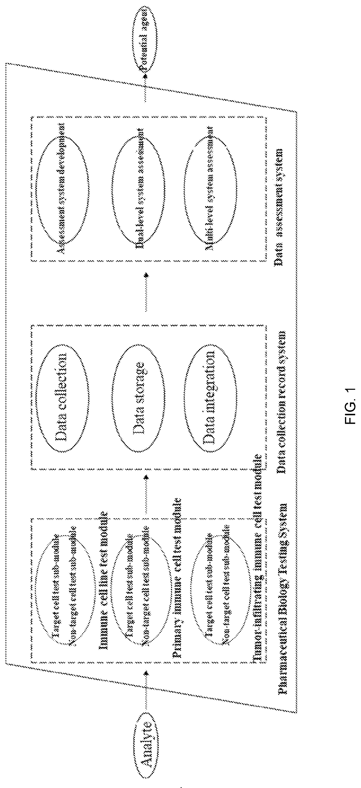 System and method for screening and assessing agents for tumor immunotherapy