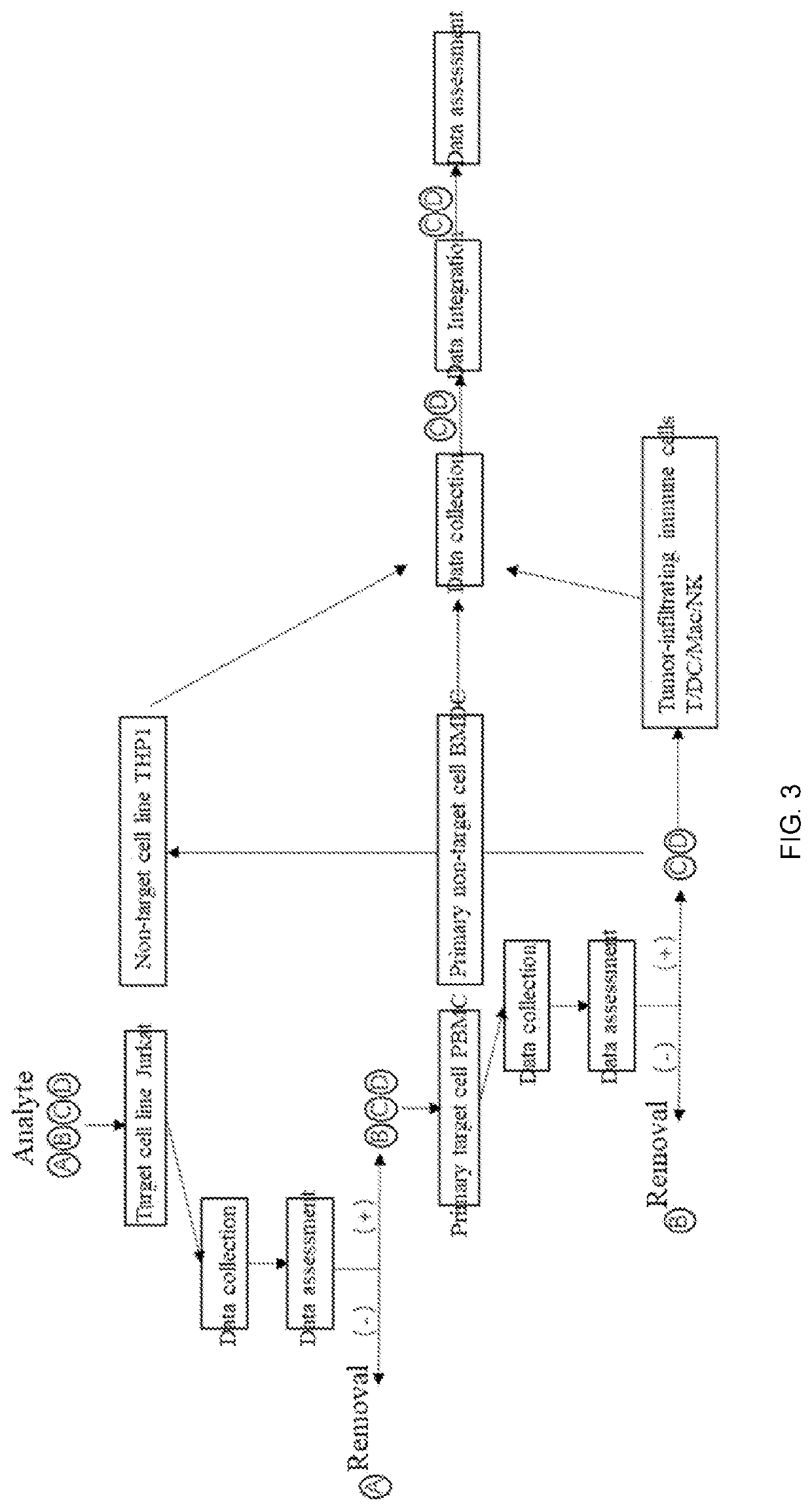 System and method for screening and assessing agents for tumor immunotherapy