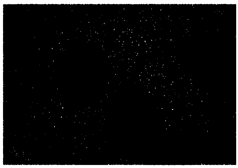 Inorganic lead halide perovskite quantum dot, preparation method of quantum dot, nanowire and preparation method of nanowire