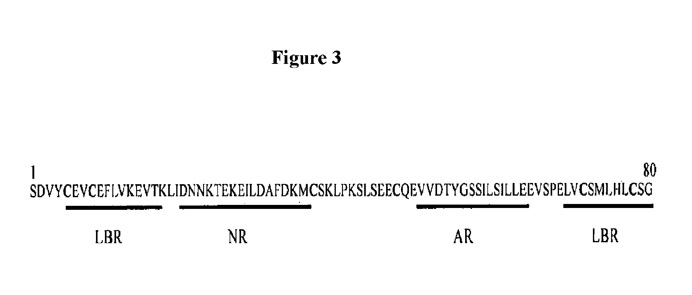 Fusogenic properties of saposin c and related proteins and peptides for application to transmembrane drug delivery systems