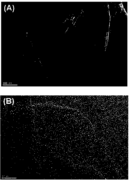 High-conductivity graphene and graphene conducting film, and preparation method thereof